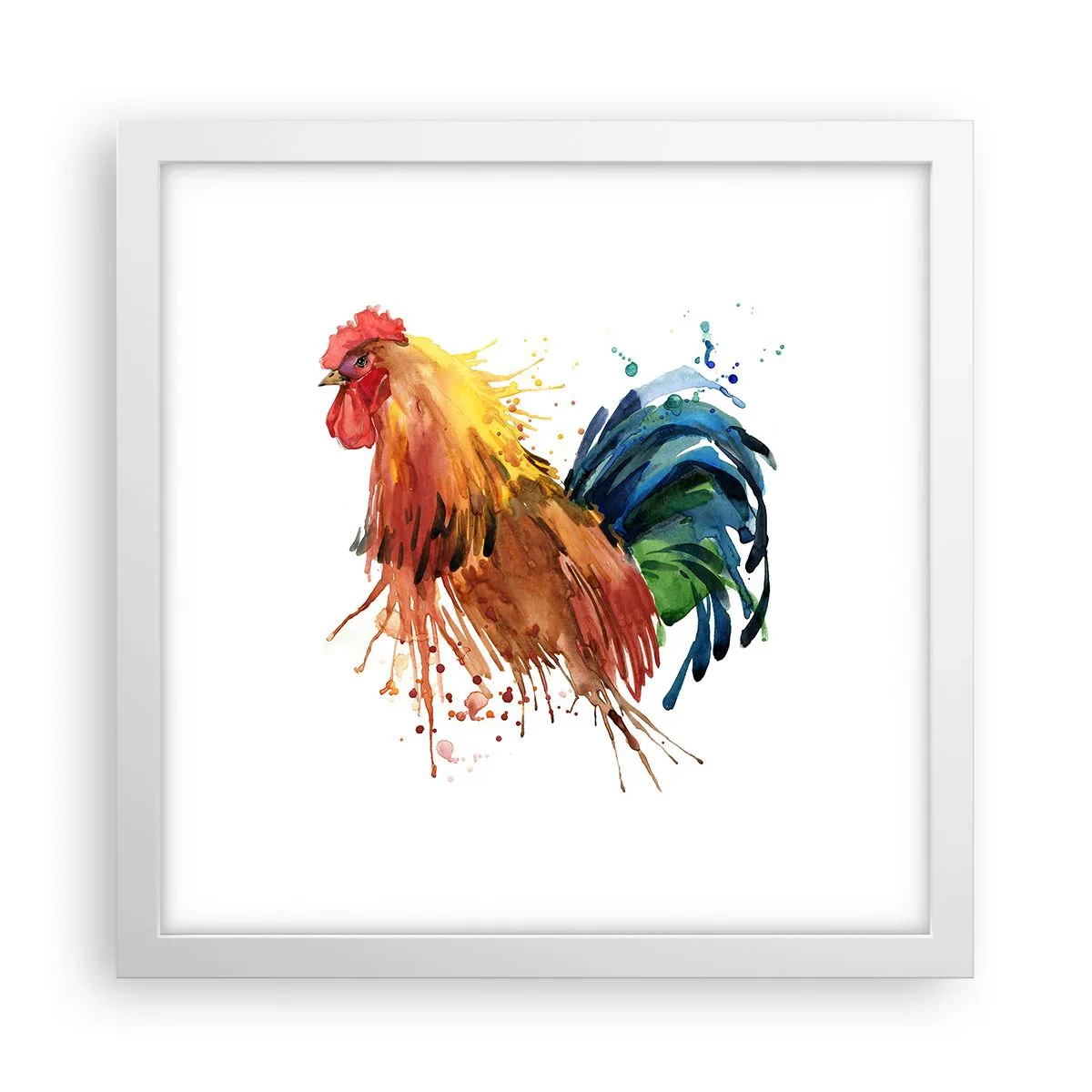 Poster in een witte lijst - Koninklijk gewaad, koninklijke trots - 30x30 cm