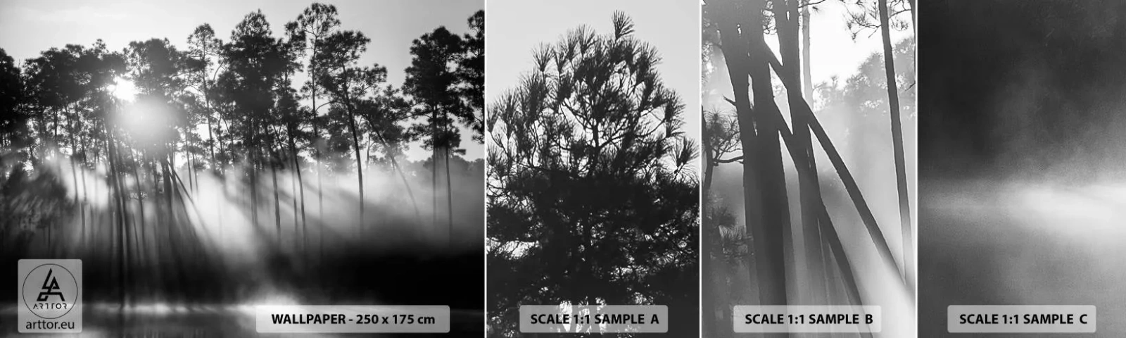 Fotobehang Staaltje Standard Eco - Niet te stoppen zon - Landschap, Woud, Natuur - 100x30 cm