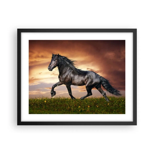 Poster in een zwarte lijst - Zwarte Prins - 50x40 cm