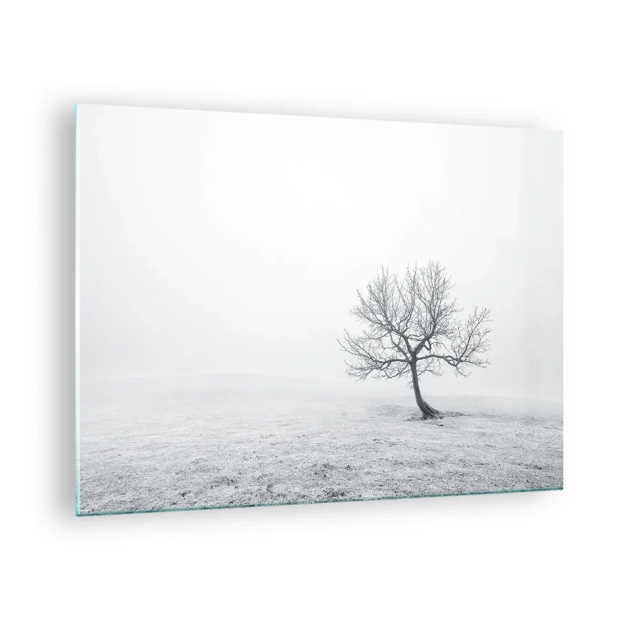 Schilderen op glas - Een eenzame boom tegen de mist in een monochrome compositie - 70x50cm - Tegen het niets - Moderne wanddecoratie voor woonkamer en slaapkamer ARTTOR