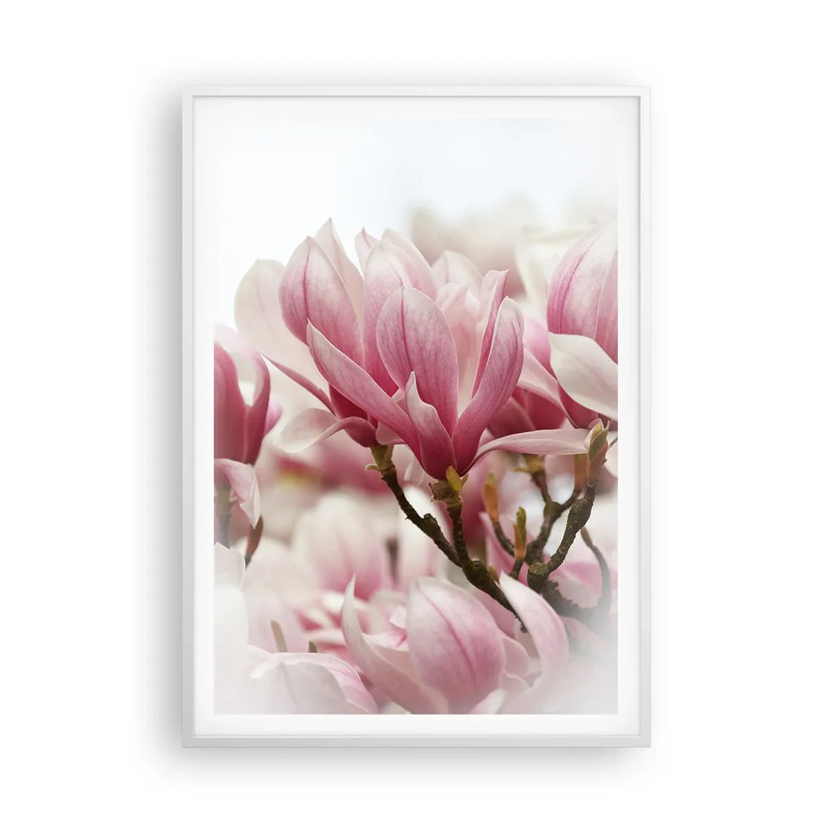 Poster in een witte lijst - Lente bloemen - 70x100 cm