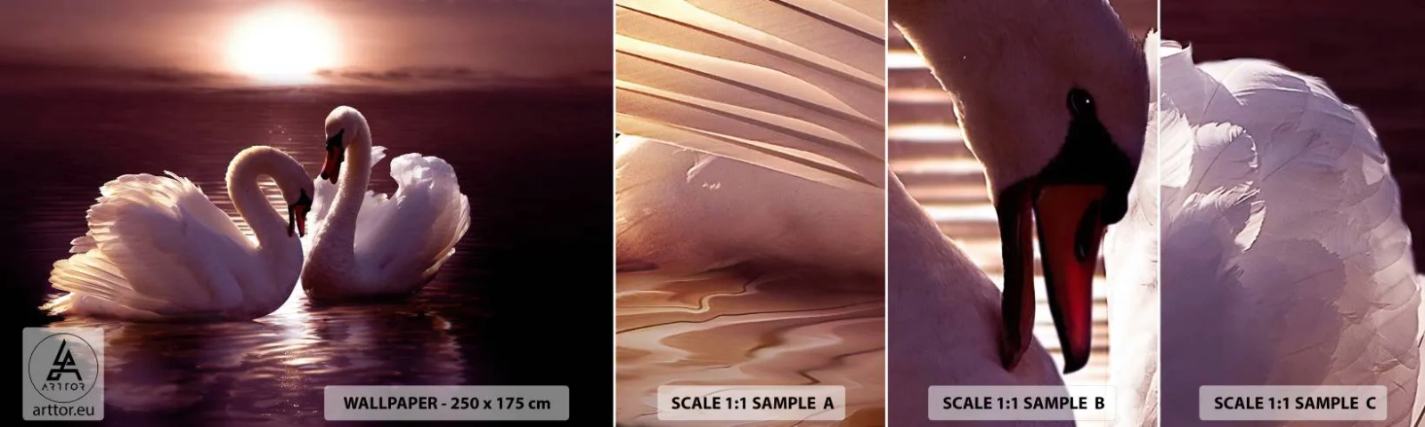 Fotobehang Staaltje Standard Eco - Tot de dood ons scheidt - Dieren, Landschap, Zwanen - 100x30 cm