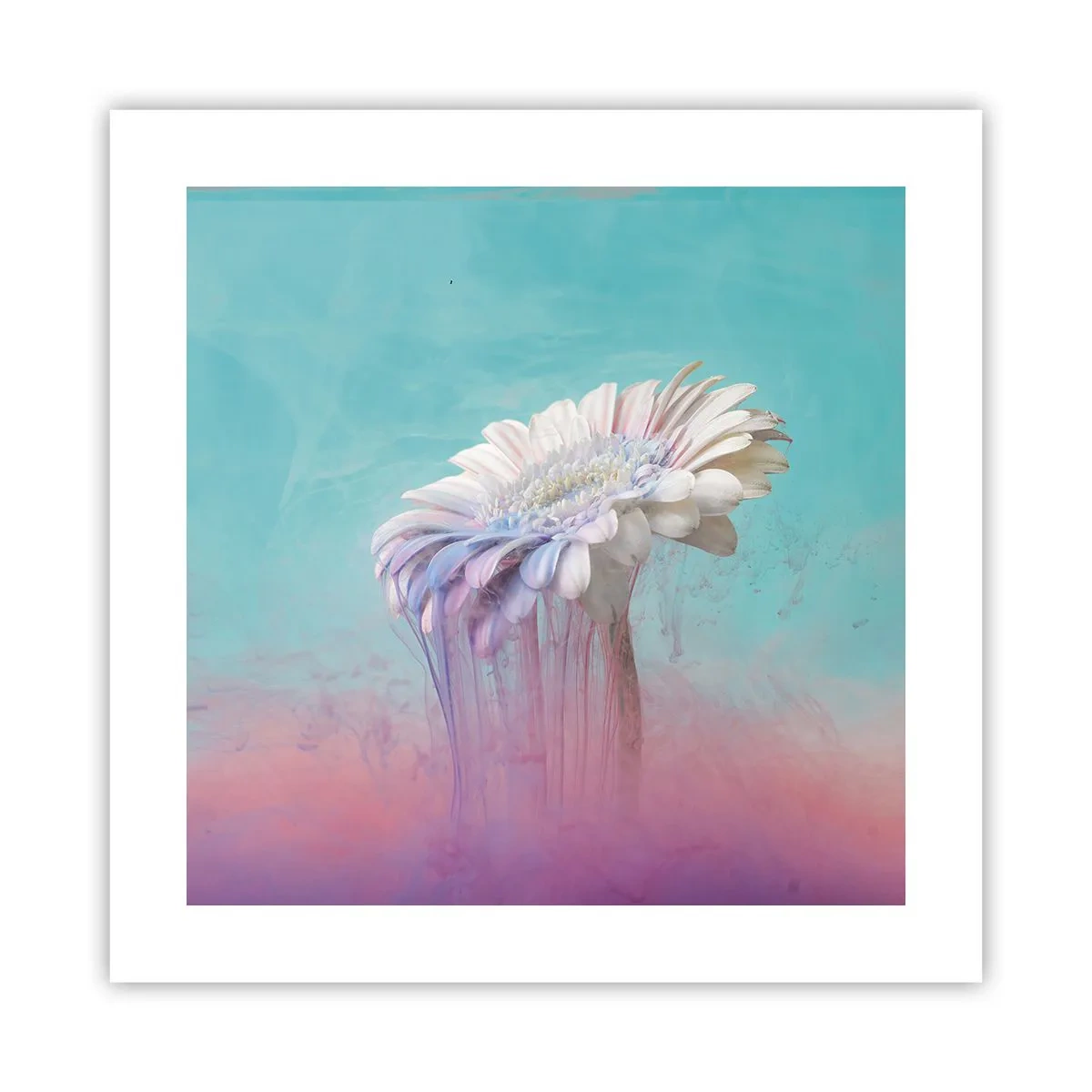 Poster - De bloemenonderwereld - 40x40 cm