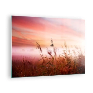 Schilderen op glas - Een weide in de ochtendmist met een pastelkleurige lucht - 70x50cm - Vliegers, paardebloemen, wind - Moderne wanddecoratie voor woonkamer en slaapkamer ARTTOR
