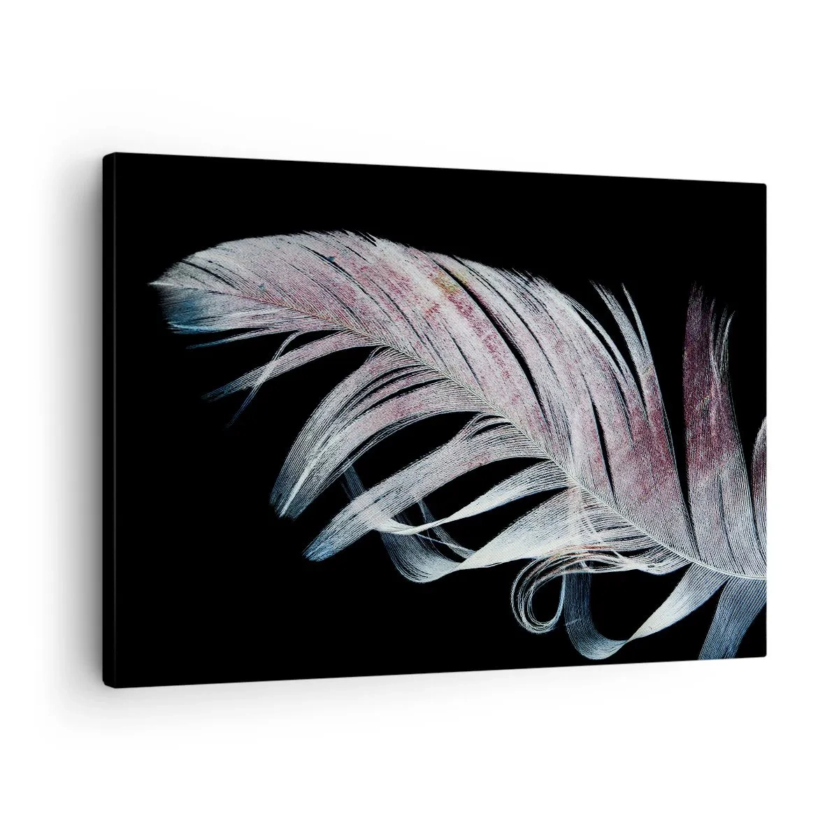 Schilderen op canvas - Een delicate veer op een zwarte achtergrond in een artistieke benadering - 70x50cm - Denk aan aanraking - Moderne wanddecoratie voor woonkamer en slaapkamer ARTTOR