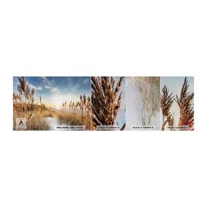 Fotobehang Monster Premium Canvas - Noord strand - Landschap, Zee, Strand - 100x30 cm
