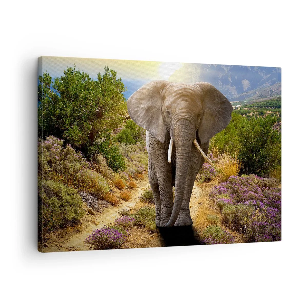 Schilderen op canvas - Een Afrikaanse olifant tegen een savanne- en berglandschap - 70x50cm - Zo zag Eden eruit - Moderne wanddecoratie voor woonkamer en slaapkamer ARTTOR