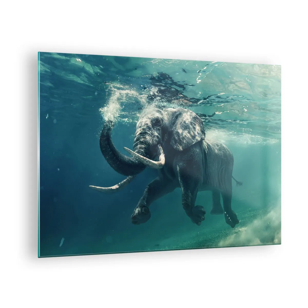 Schilderen op glas - Een olifant zwemt onder water in de blauwe oceaan - 70x50cm - Iedereen houdt van zwemmen - Moderne wanddecoratie voor woonkamer en slaapkamer ARTTOR