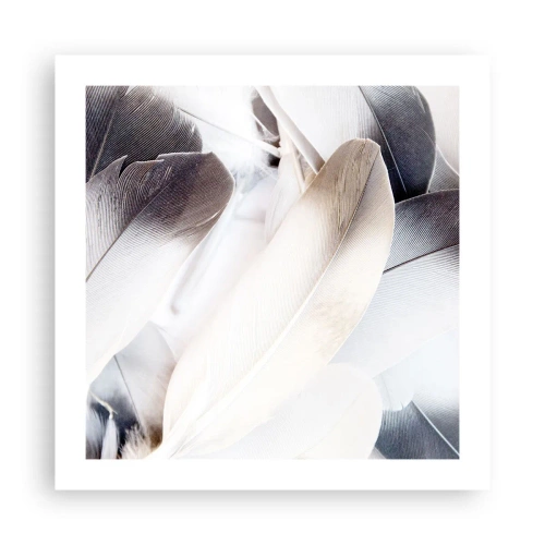 Poster - Bijna engelachtig - 50x50 cm