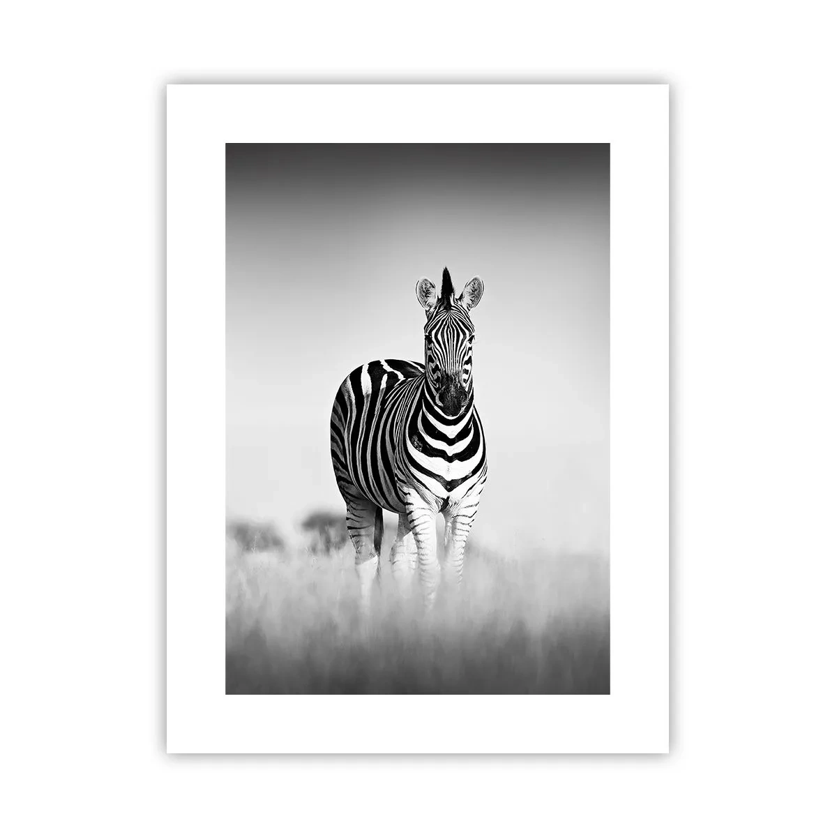 Poster - Toch is de wereld zwart-wit - 30x40 cm