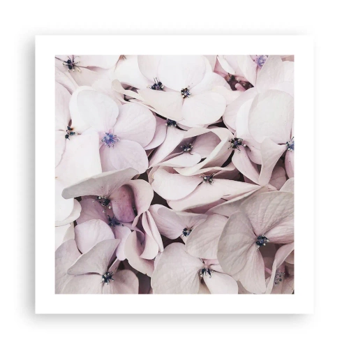 Poster - In een vloed van bloemen - 50x50 cm