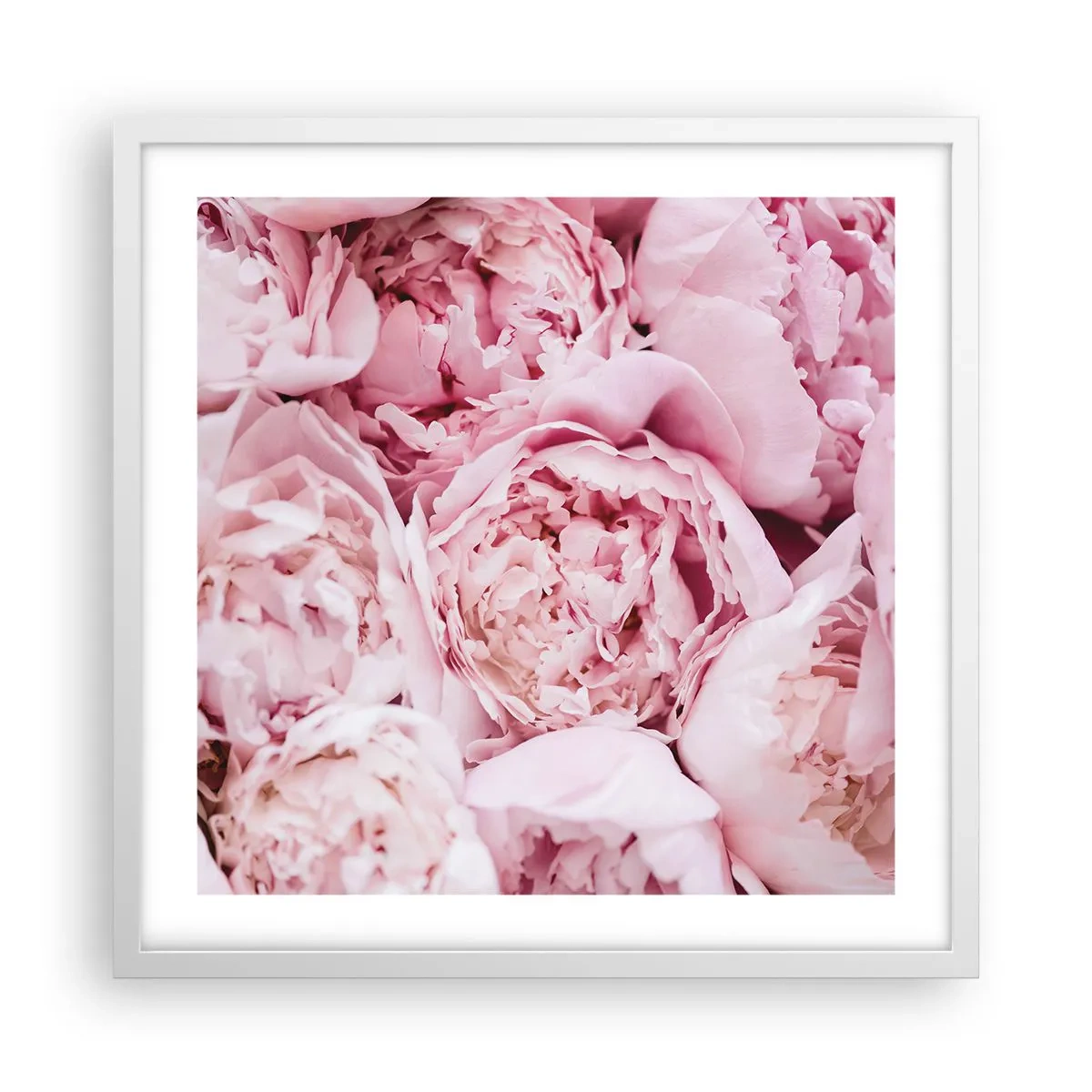 Poster in een witte lijst - Knuffelend en geurig - 50x50 cm