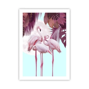 Poster - Drie vogel genaden - 50x70 cm