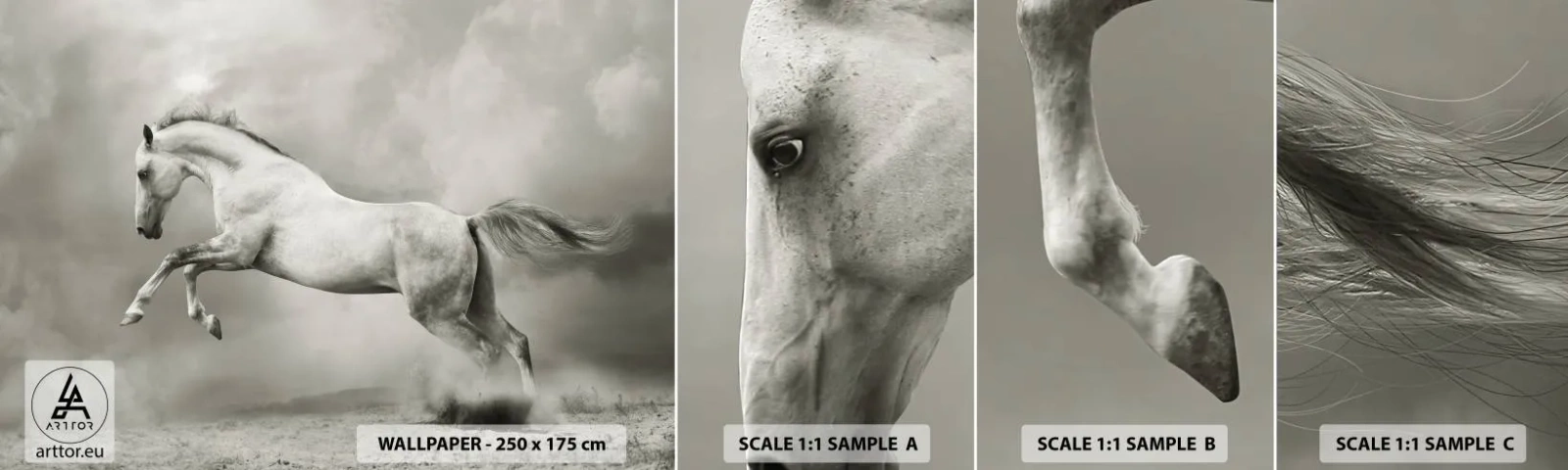 Fotobehang Staaltje Standard Eco - Tussen waken en slapen - Dieren, Paard, Natuur - 100x30 cm