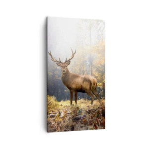 Schilderen op canvas - In volle majesteit - 45x80 cm