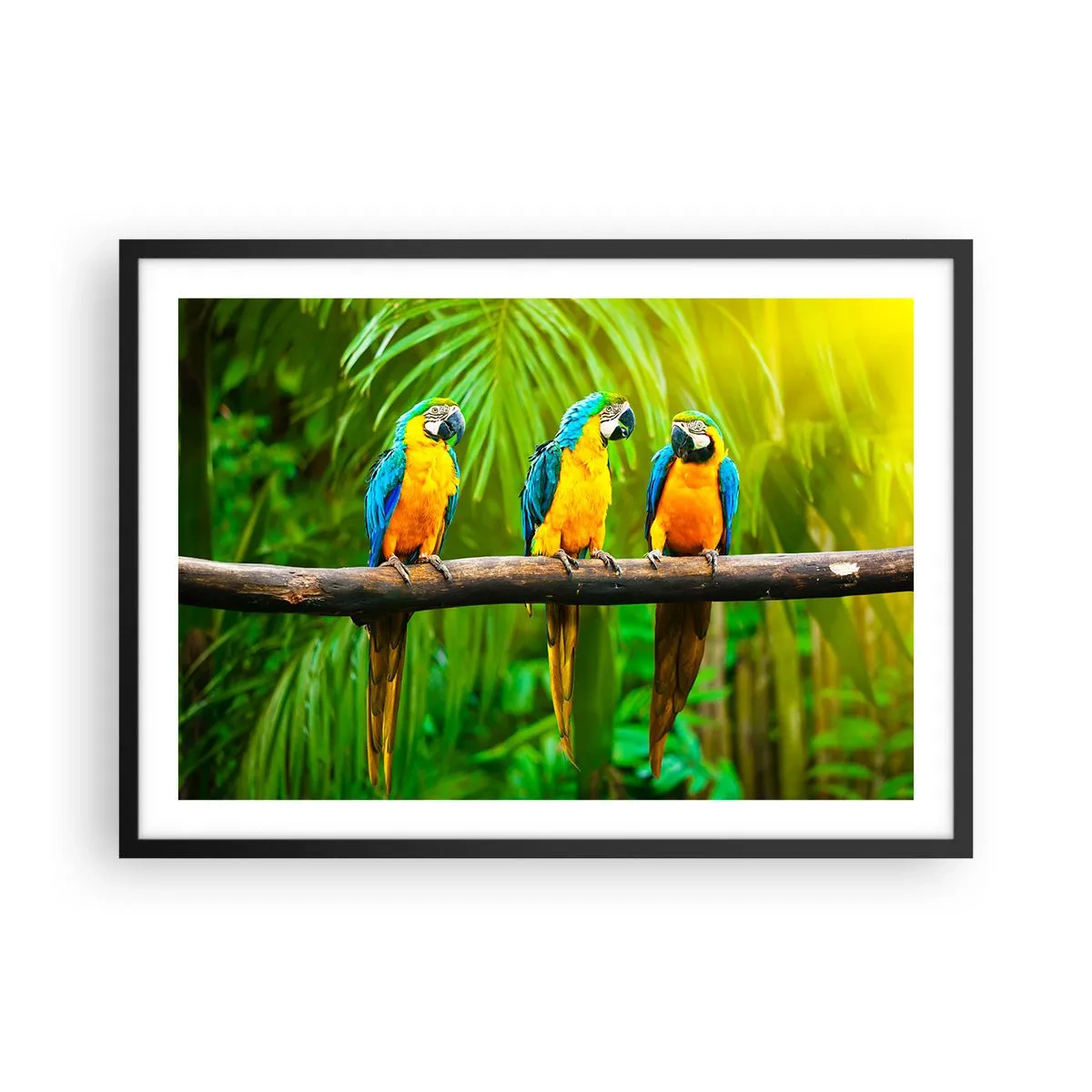 Poster in een zwarte lijst - En heb je gehoord dat ze...? - 70x50 cm