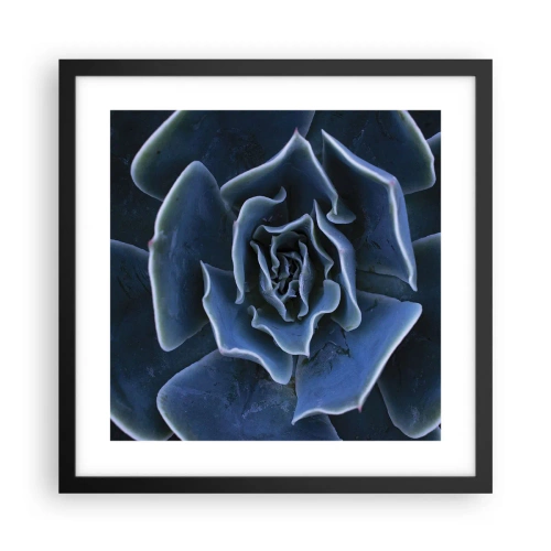 Poster in een zwarte lijst - Woestijn bloem - 40x40 cm