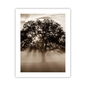 Poster - Boom van goede kennis alleen - 40x50 cm
