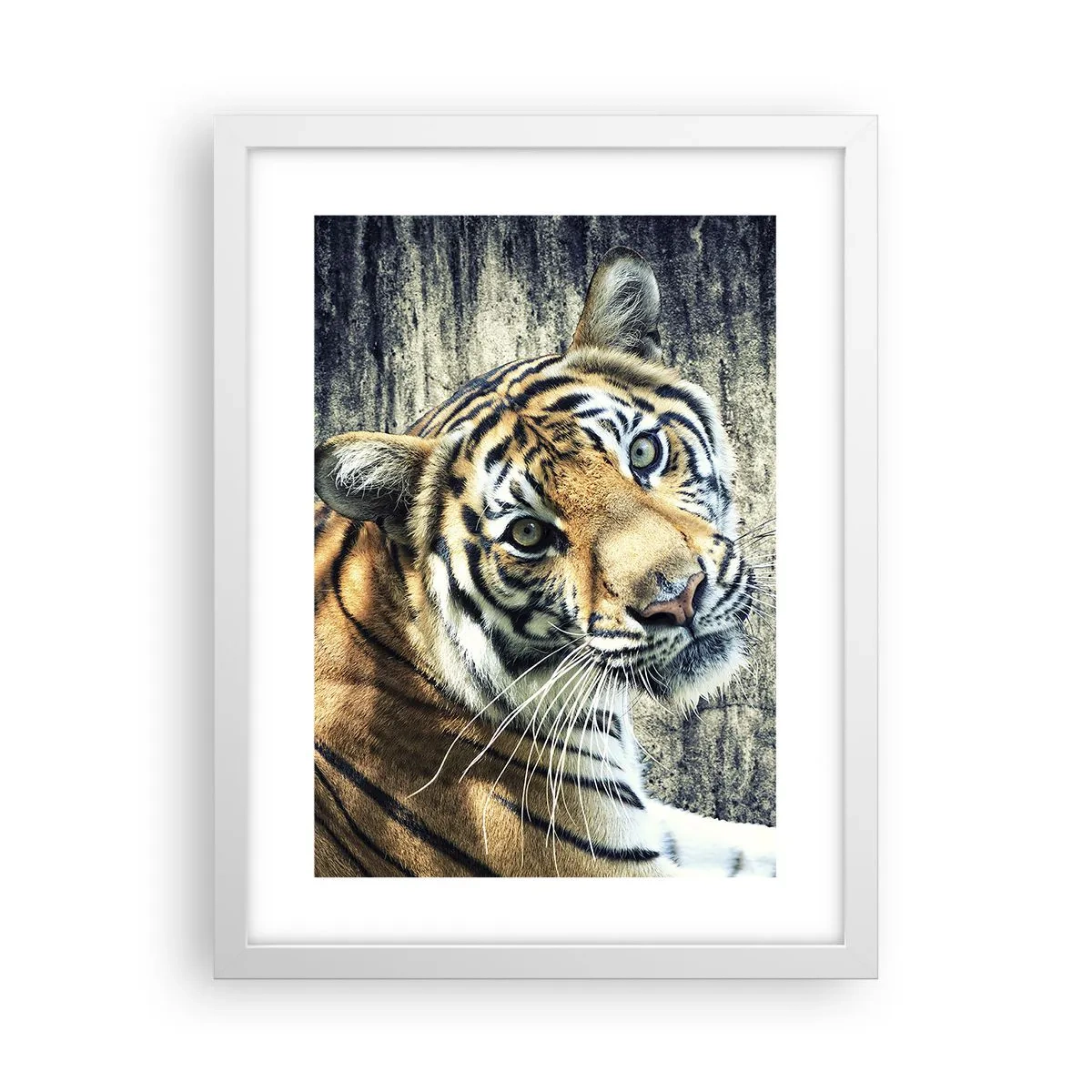 Poster in een witte lijst - Portret in stromen van licht - 30x40 cm