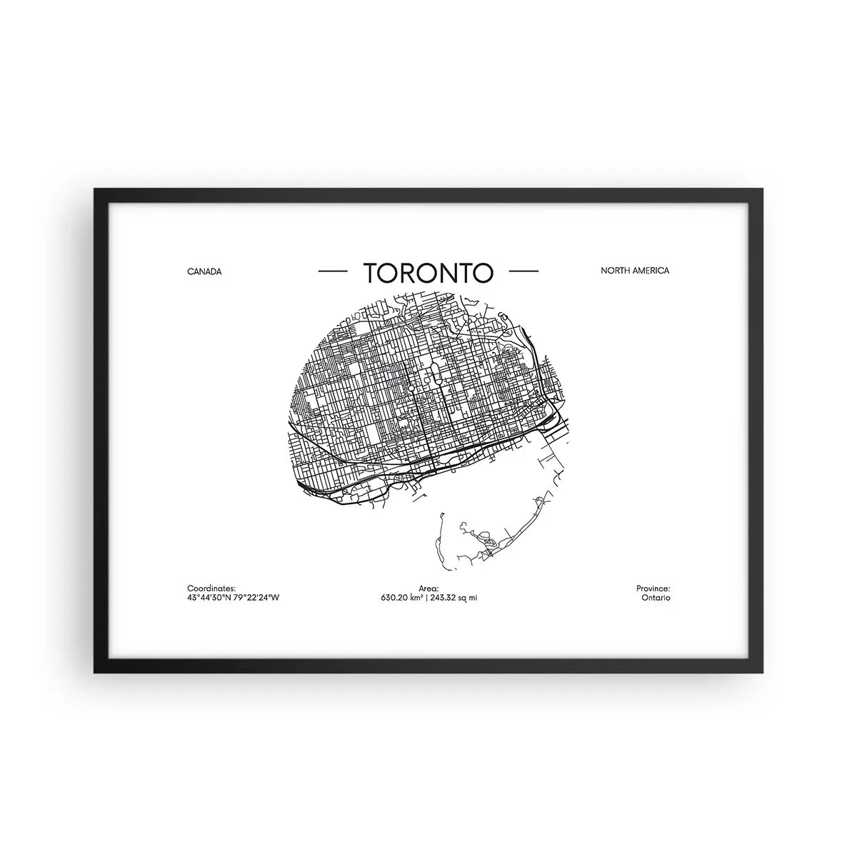 Poster in een zwarte lijst - Anatomie van Toronto - 70x50 cm