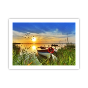 Poster - De aalscholvers vliegen al weg - 70x50 cm