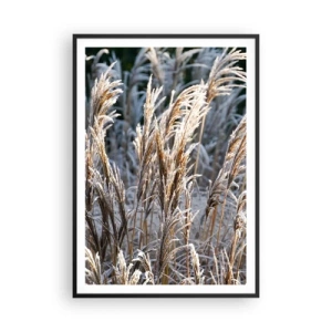 Poster in een zwarte lijst - Gekleed met vorst - 70x100 cm