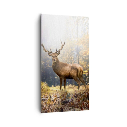 Schilderen op canvas - In volle majesteit - 55x100 cm