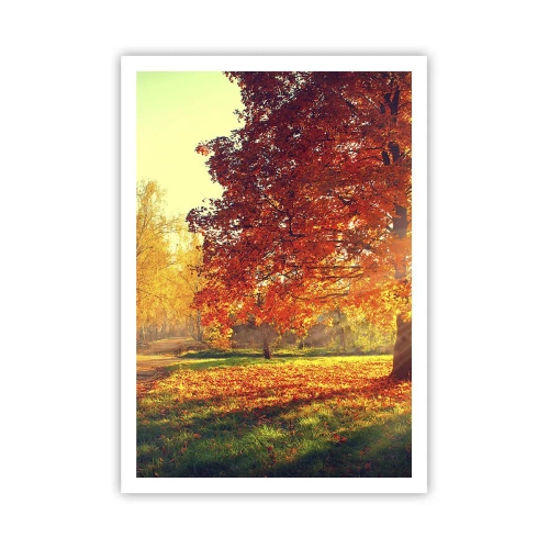 Poster - Rood is mooi - 70x100 cm