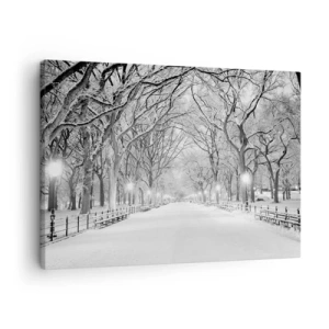 Schilderen op canvas - Een wintersteegje met besneeuwde bomen in monochrome kleuren - 70x50cm - Vier seizoenen - winter - Moderne wanddecoratie voor woonkamer en slaapkamer ARTTOR