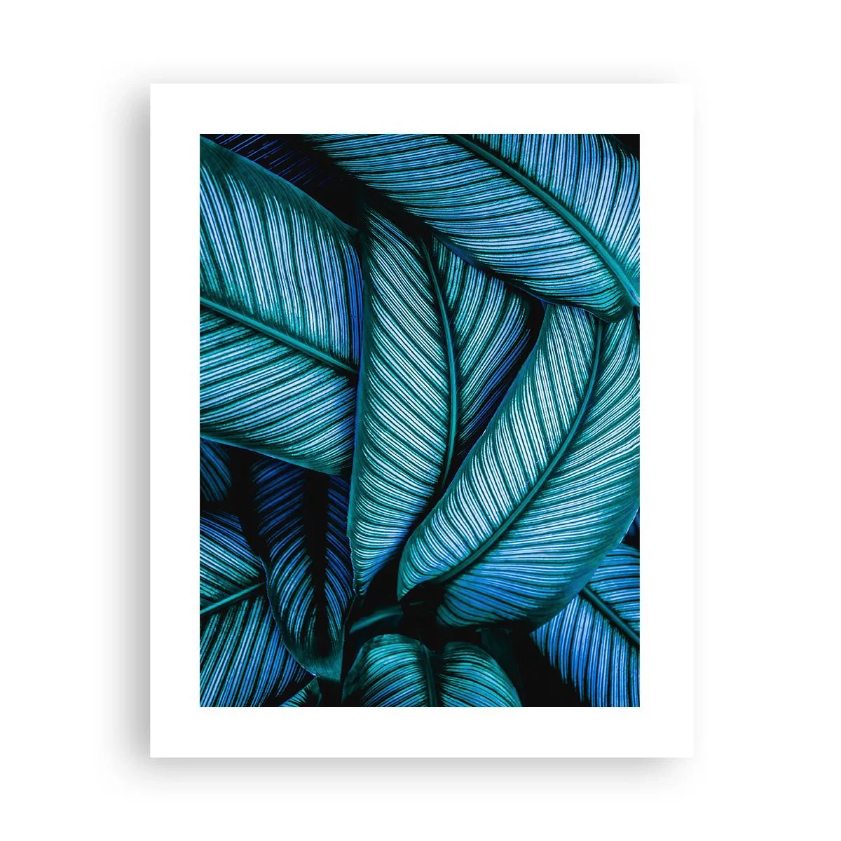Poster - Levens lijnen - 40x50 cm