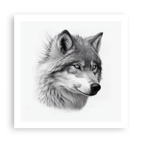 Poster - Alfa – zonder twijfel - 60x60 cm