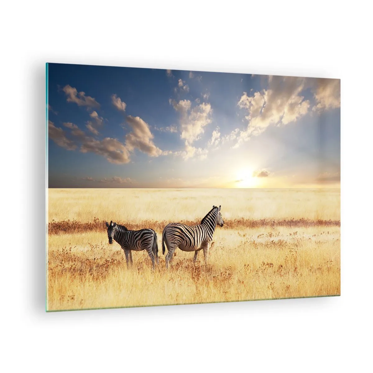 Schilderen op glas - Twee zebra's in de savanne bij zonsondergang - 70x50cm - Ga weg, verstoor onze vrede niet - Moderne wanddecoratie voor woonkamer en slaapkamer ARTTOR