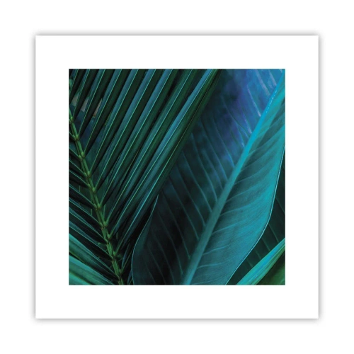Poster - De anatomie van groen - 30x30 cm