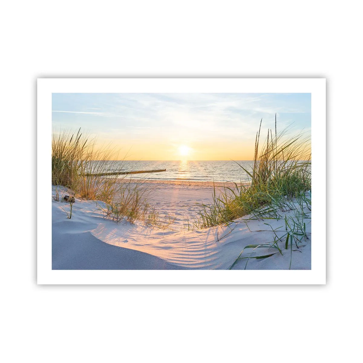 Poster - Het geluid van de zee, het zingen van vogels, een wild strand tussen het gras... - 70x50 cm