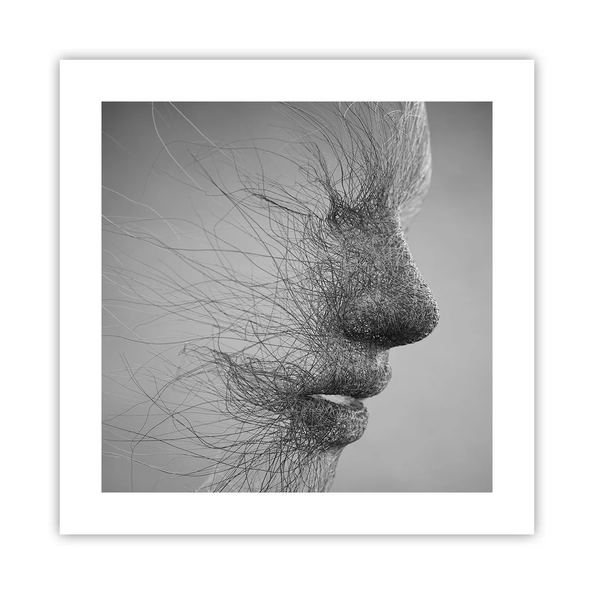 Poster - De geest van de wind - 40x40 cm