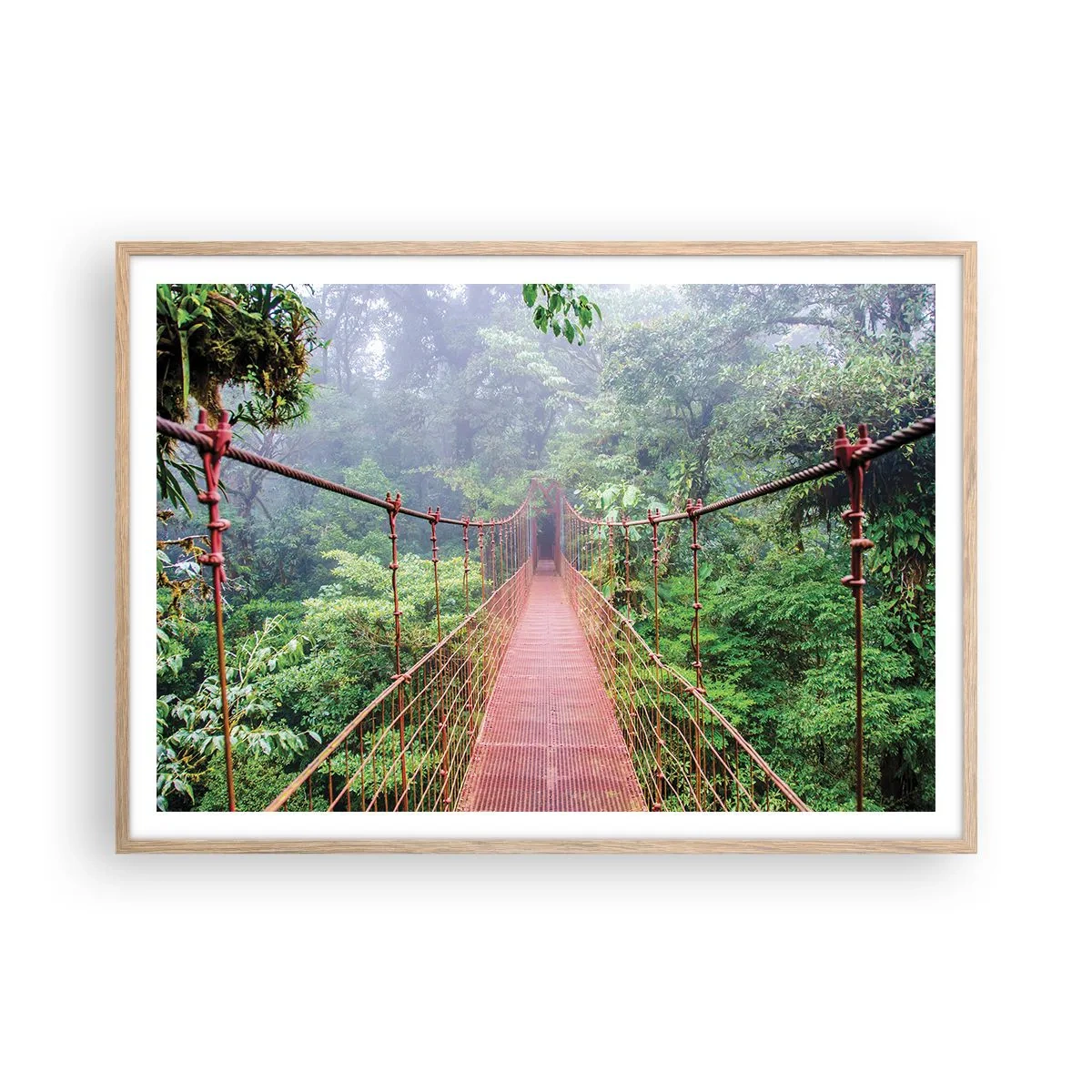 Een poster in een licht eiken lijst - Opgehangen over de kronen - 100x70 cm