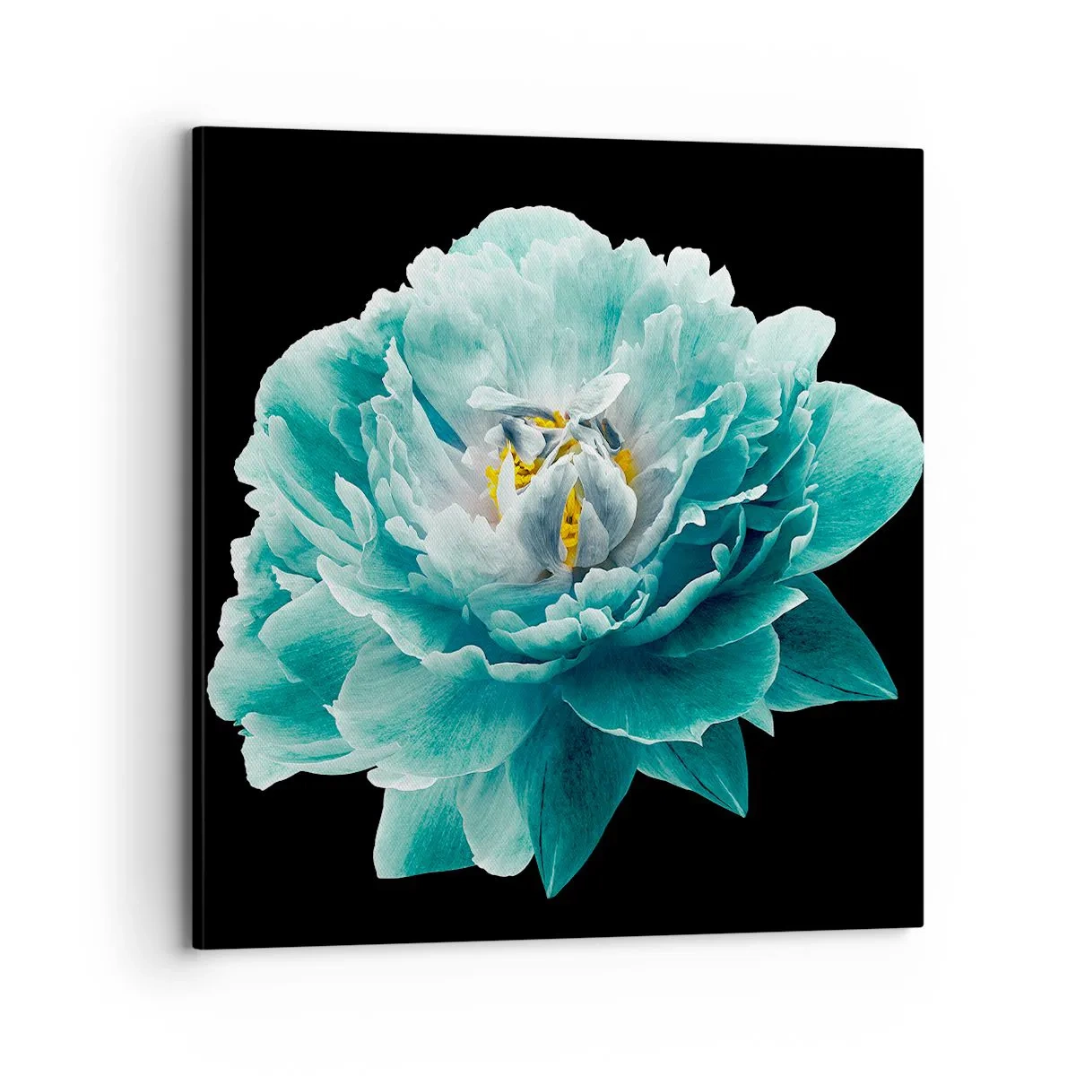 Schilderen op canvas - Blauwe en gouden bloemblaadjes - 70x70 cm