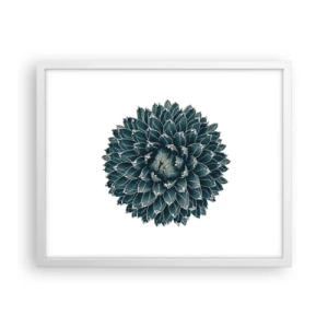 Poster in een witte lijst - De ster van de woestijn - 50x40 cm