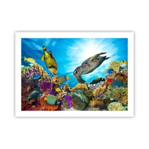 Poster - Koraalpromenade - 70x50 cm