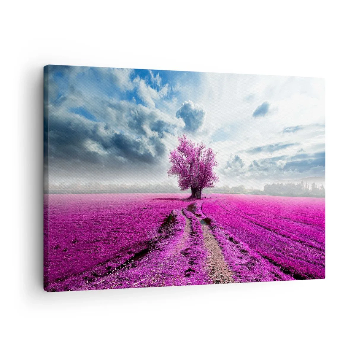 Schilderen op canvas - Een eenzame boom in een veld in een intens roze tint - 70x50cm - Heide - heilige plek - Moderne wanddecoratie voor woonkamer en slaapkamer ARTTOR