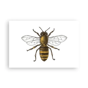 Poster - Mooi en goed - 91x61 cm