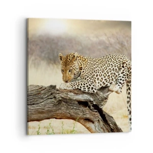 Schilderen op canvas - Ik ga mijn eigen weg - 70x70 cm