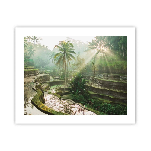 Poster - Opgroeien in de zon - 50x40 cm