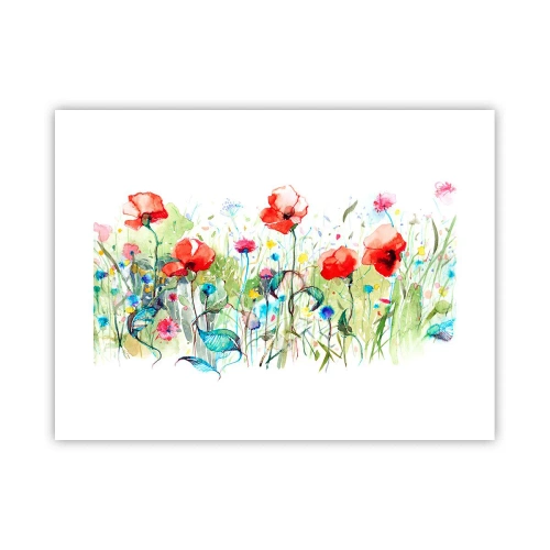 Poster - Bloeiende meiweide - 40x30 cm