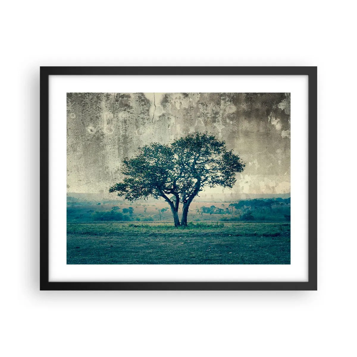 Poster in een zwarte lijst - Een appelboom op een blauw veld? - 50x40 cm