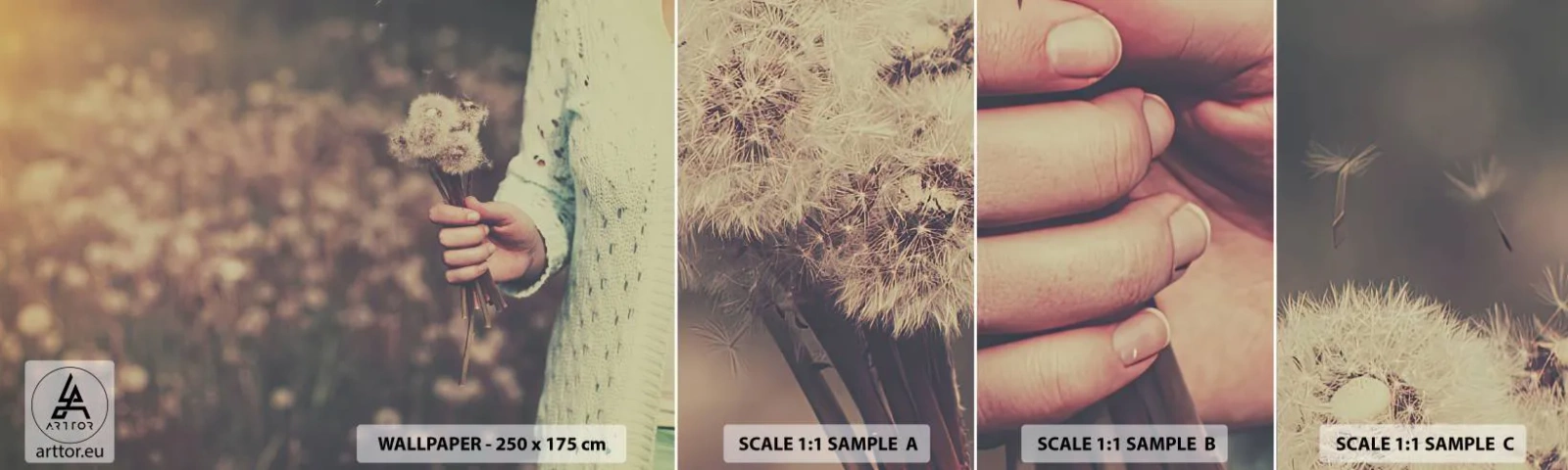 Fotobehang Staaltje Standard Eco - Bewaar ze alsjeblieft - Paardebloem, Wei, Natuur - 100x30 cm