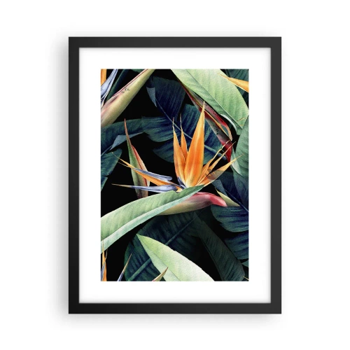 Poster in een zwarte lijst - Vlammende bloemen van de tropen - 30x40 cm