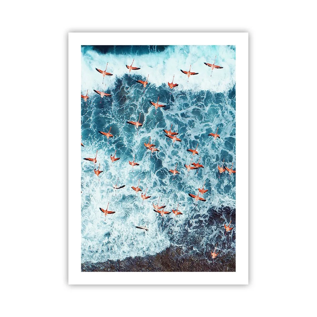 Poster - De kustparade - 50x70 cm