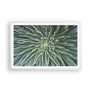 Poster in een witte lijst - Een ster is geboren - 91x61 cm