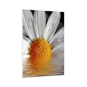 Schilderen op glas - De rijzende zon van madeliefjes - 70x100 cm